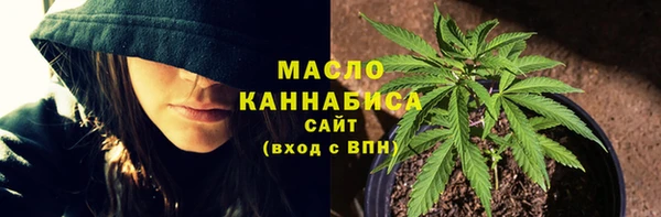 индика Елизово