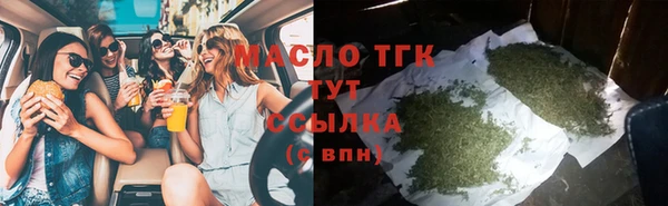 твердый Ельня