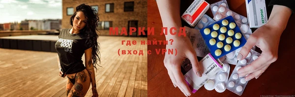 индика Елизово