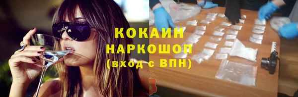 твердый Ельня