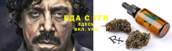 индика Елизово
