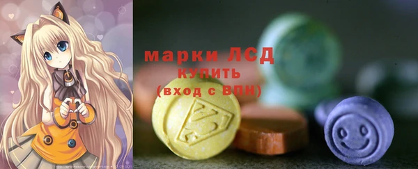 индика Елизово