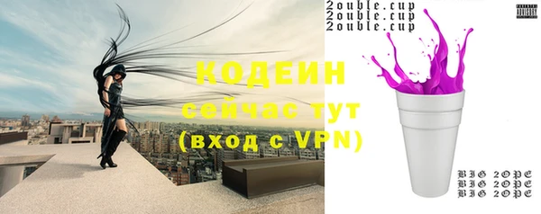 твердый Ельня