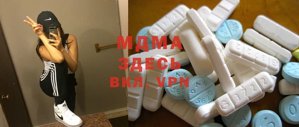 индика Елизово