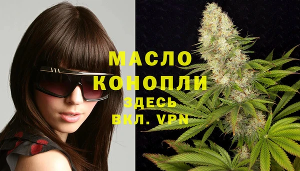 индика Елизово