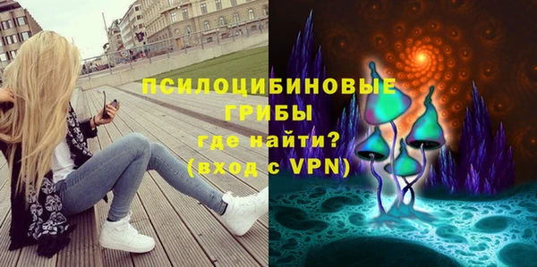 твердый Ельня