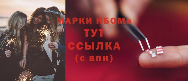 твердый Ельня