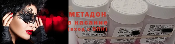 индика Елизово