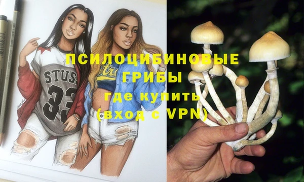 твердый Ельня