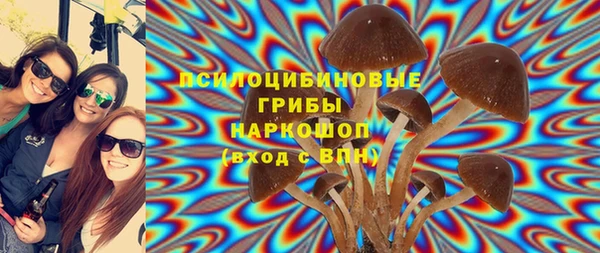 твердый Ельня