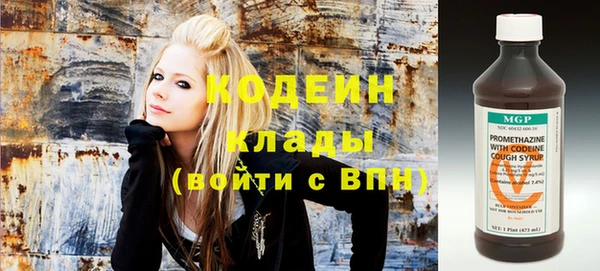 индика Елизово