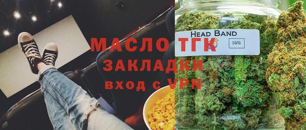 индика Елизово