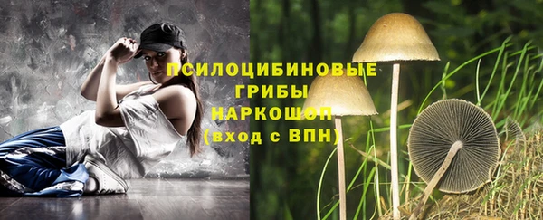mix Елабуга