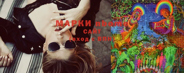 твердый Ельня