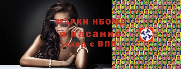 индика Елизово