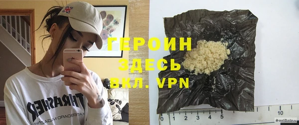 индика Елизово