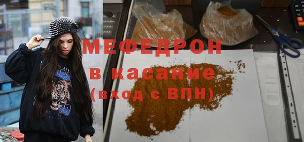 индика Елизово