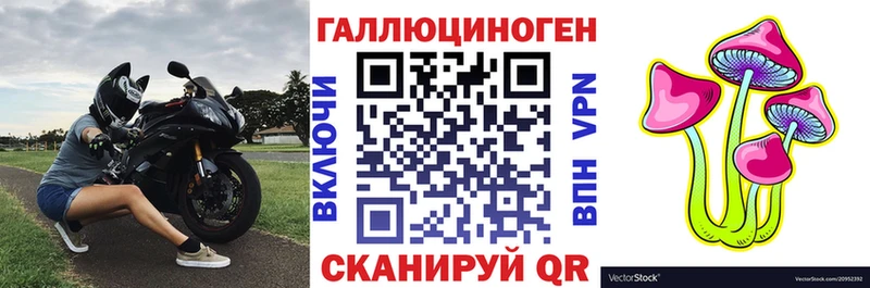 Галлюциногенные грибы GOLDEN TEACHER  Купить закладки  Советск 